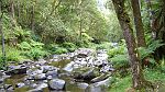 25-Spectacular views of the Gellibrand River at Stevensons Falls